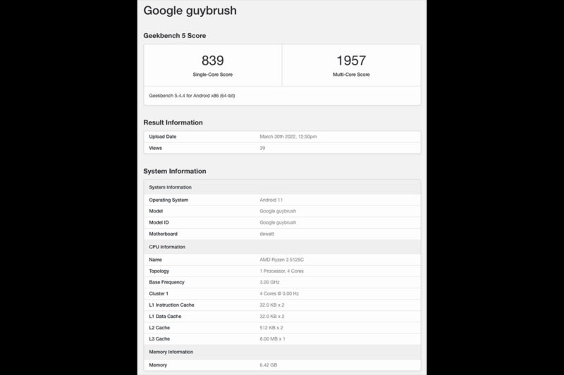 google-guybrush-dewatt-geekbench-ryzen3-5125c