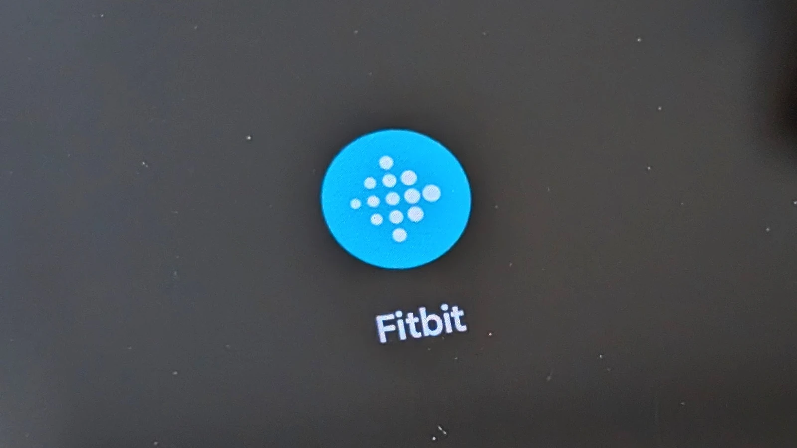 Fitbit icon