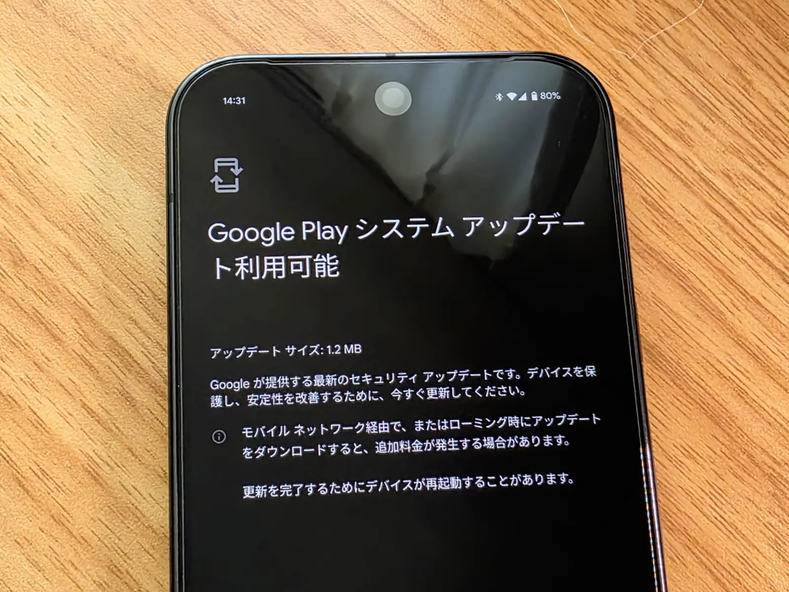 Google Pixel 9 Pro で Google システムアップデートが利用可能になっている画面の写真