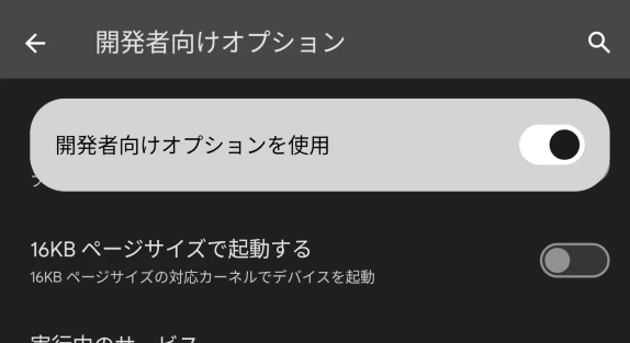 開発者向けオプションに表示される「16KB ページサイズで起動する」設定画面のスクリーンショット