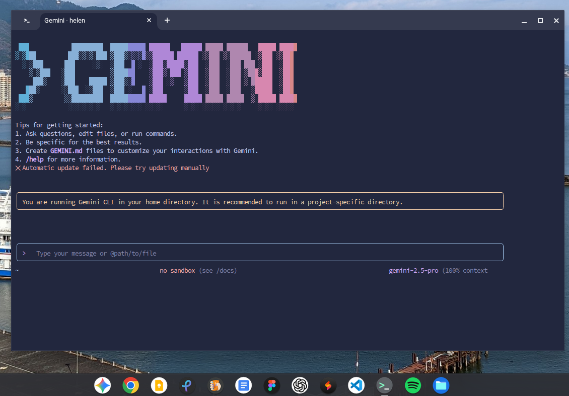 Chromebook で Gemini CLI を起動しているところのスクリーンショット