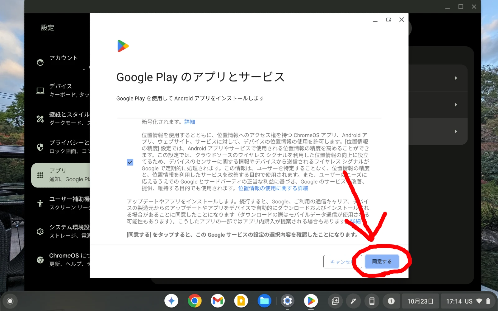 Chromebook の設定にある「アプリ」から「Google Play 設定を管理する」をオンにして、利用規約に同意するところのスクリーンショット