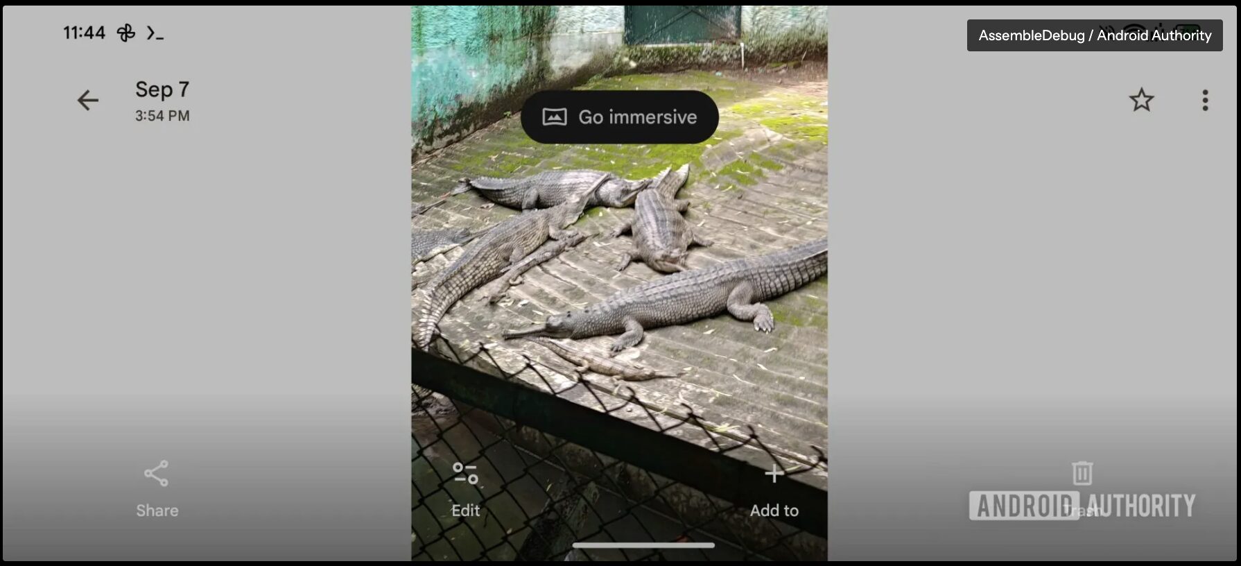 写真の上に「Go immersive」ボタンが表示されている様子のスクリーンショット