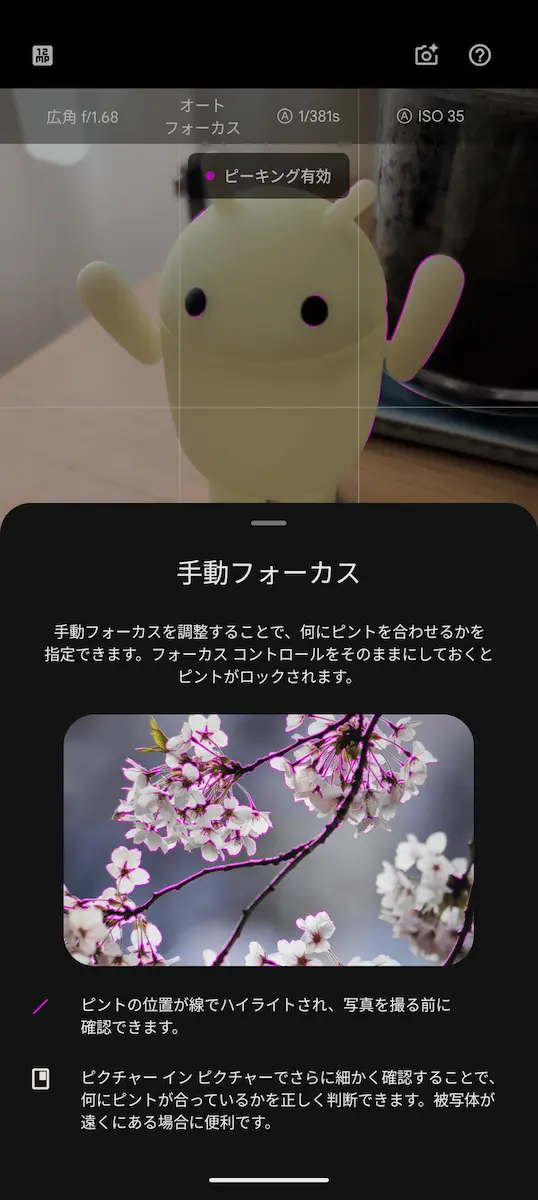 Google Pixel 10 Pro の Pixel Camera で表示したプロ設定の手動フォーカスの設定画面