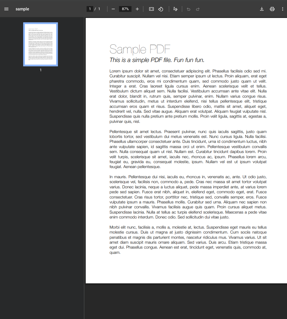 Chromebook で Google ドライブの PDF ビューアで PDF を開いたところ